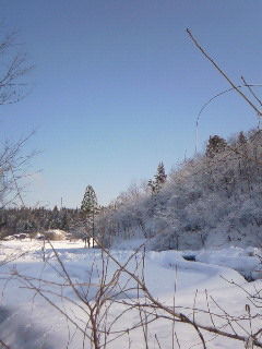 2012 豪雪 001 (3)