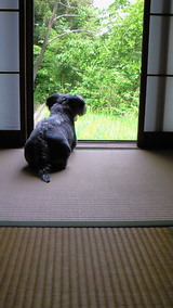 �ָͤˤ����Τ�