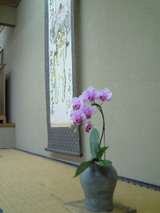 2010 とちお茶会 お床