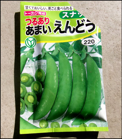 スナップ20本仕立て圧縮　15