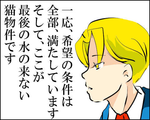 猫 80-5