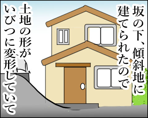 猫 102-5