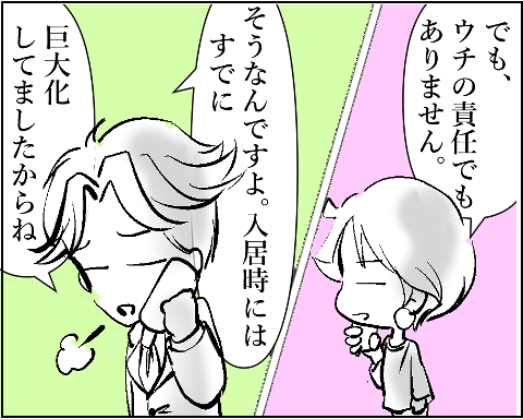 猫 38補足-5-10