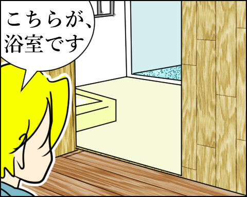 猫 100-2