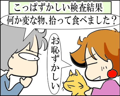 動物病院　嘔吐