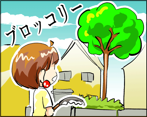 猫 32-5