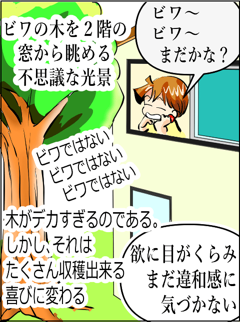 猫 38補足-2-1