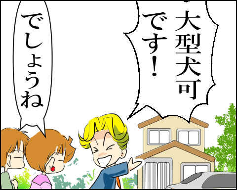 猫 83-3