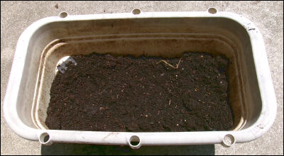 オクラ　スナップ　土リサイクル (4)圧縮