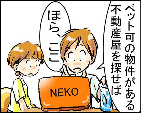 猫 3-4