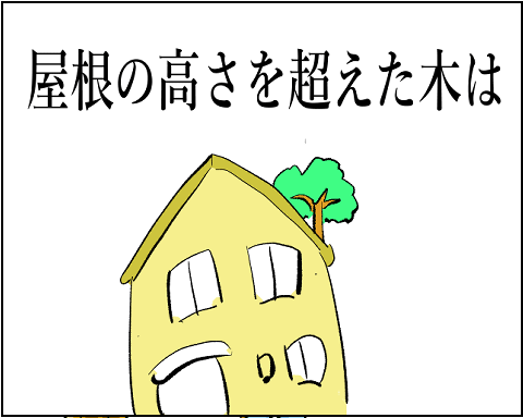 猫 33-7