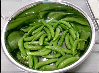 ジオ　２２ｃｍ　スナップ (3)圧縮