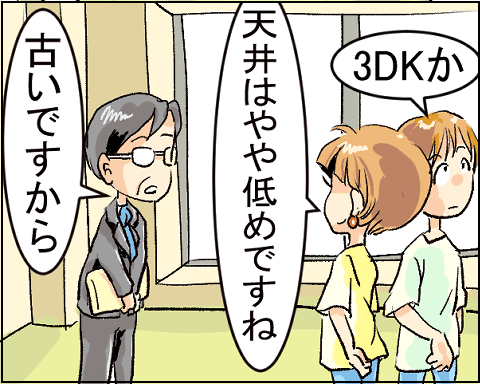 猫 7-1