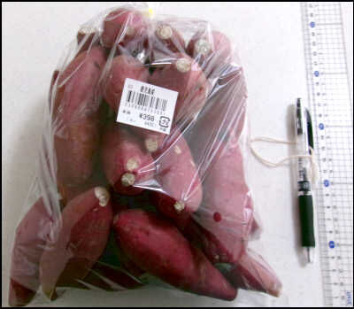 ジオ　２２ｃｍ　芋 (1)