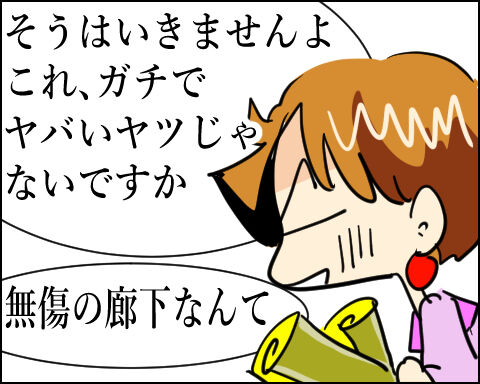 猫 97-5