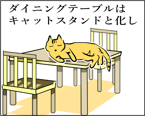 猫　４３－７