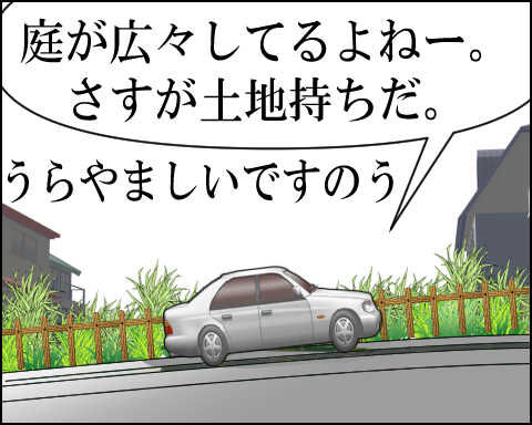 猫 81-5