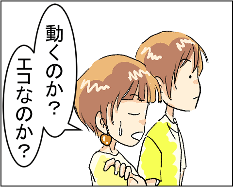 猫 22-3