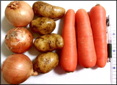 ジオ　２２ｃｍ　カレー (16) 圧縮