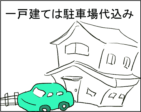 猫 12-4