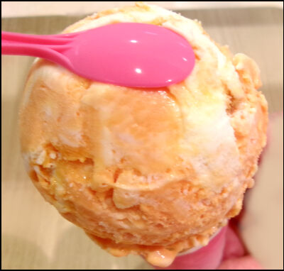 31 マンダリンオレンジチーズケーキ (1)圧縮