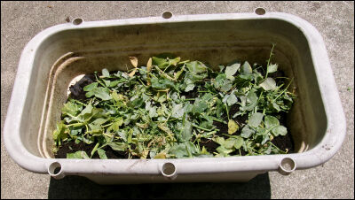 オクラ　スナップ　土リサイクル (6)圧縮