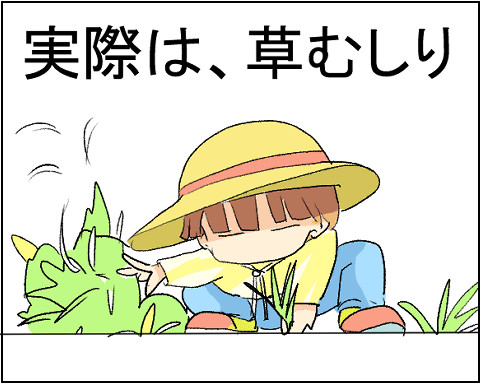 猫 24-6