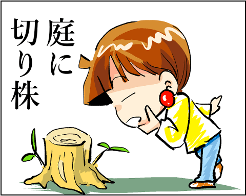 猫 37-1