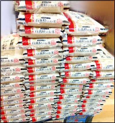 IMG_2025-11-07-10-02-23-456圧縮