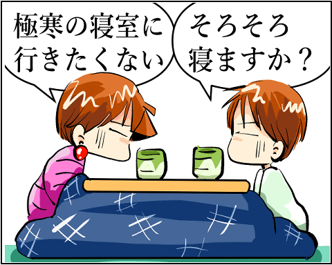 猫 41-5