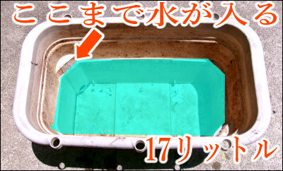 スナップ20本仕立て圧縮　10