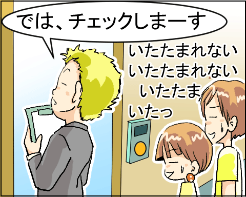 猫 28-6