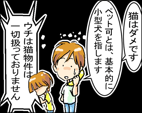 猫 3-6