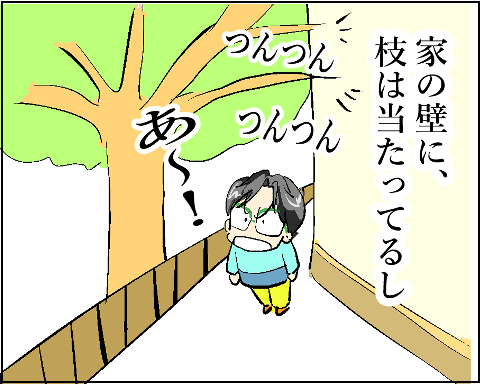 猫 38補足-6-5