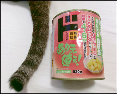 ドンキ　桃缶 (7)圧縮