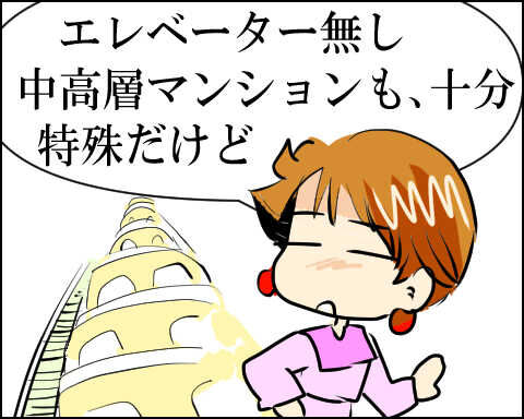 猫 80-8