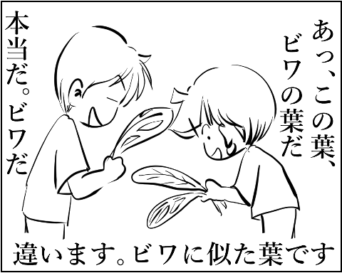 猫 38補足-1-7