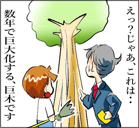 猫 38補足-4-9