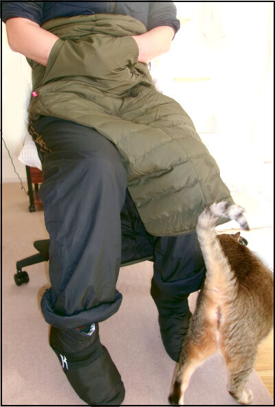 クルミーノ２ (17) 圧縮