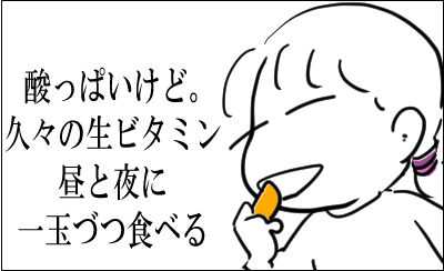 夏ミカン　2
