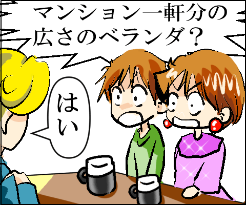 猫 73-1-2