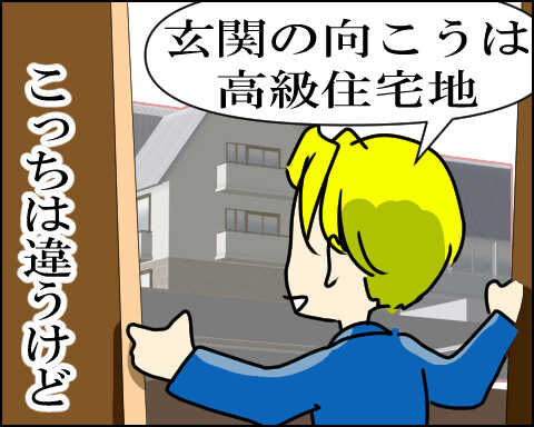 猫 90-2