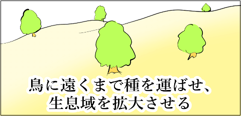 猫 38補足-3-12