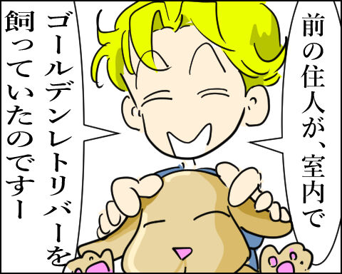 猫 99-4