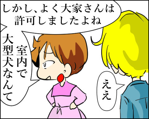 猫 99-8