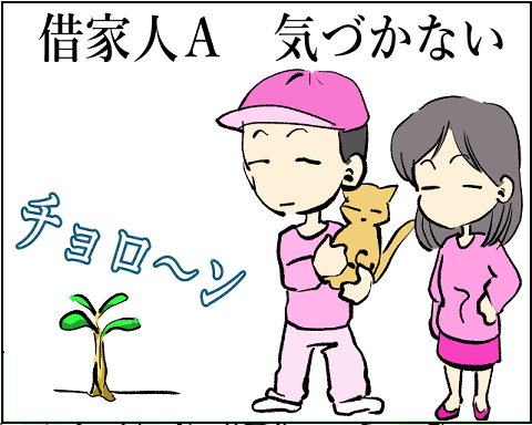 猫 33-3