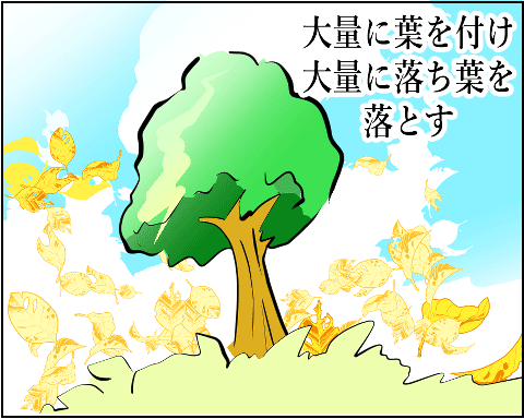 猫 38補足-3-8