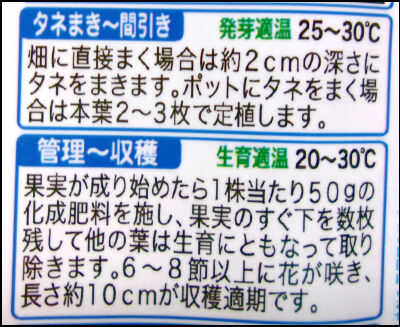 オクラ　2025　２ (3)圧縮
