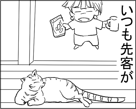 猫 21-8