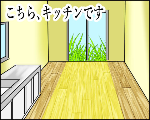 猫 100-5-1